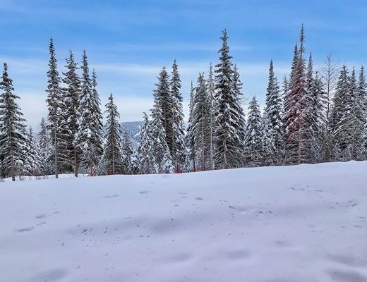 Altitude #25 - 2 Bdrm - Sun Peaks (TM)